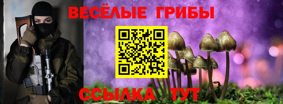 Галлюциногенные грибы Psilocybe Соль-Илецк