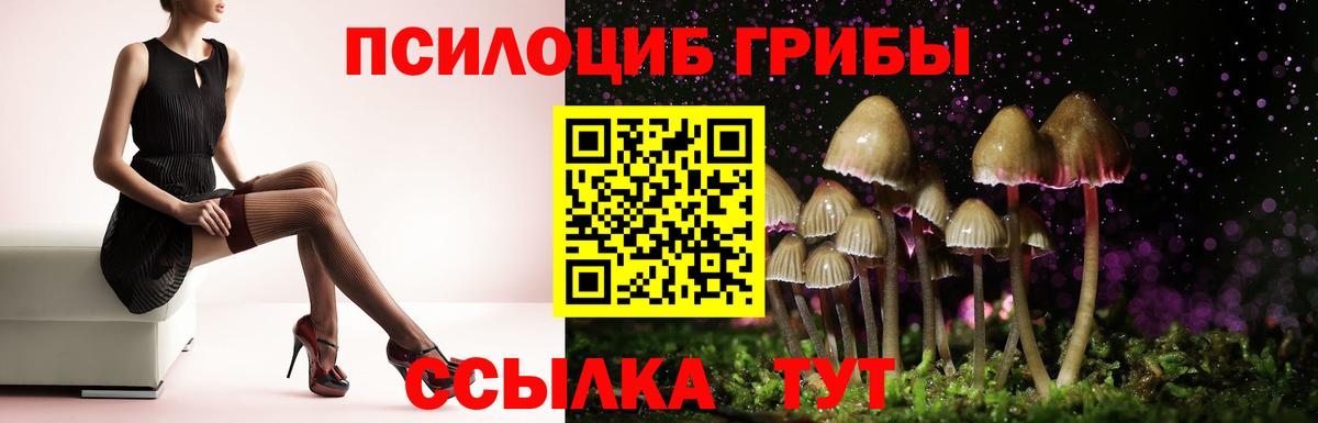 Псилоцибиновые грибы Magic Shrooms  Вход с VPN  Соль-Илецк 